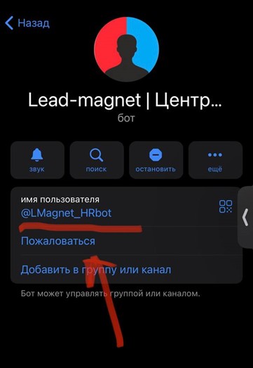 Лидогенерация от А до Я: что это, как работает и зачем нужна